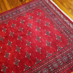 Hand knotted wool rug 248169 size 248 x 169 cm Pakistan