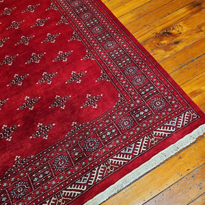 Hand knotted wool rug 248169 size 248 x 169 cm Pakistan