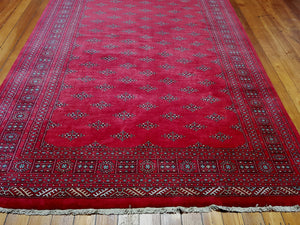 Hand knotted  wool Rug 2 size  299 x 194 cm Pakistan