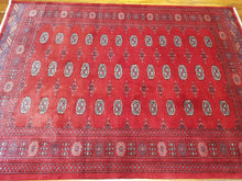 Load image into Gallery viewer, Hand knotted wool Rug 4 size  239 x 172 cm Pakistan