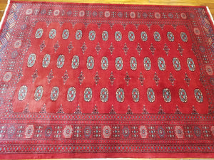 Hand knotted wool Rug 4 size  239 x 172 cm Pakistan