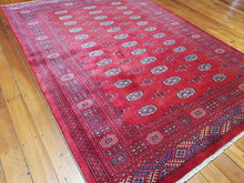 Load image into Gallery viewer, Hand knotted wool Rug 4 size  239 x 172 cm Pakistan