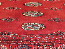 Load image into Gallery viewer, Hand knotted wool Rug 4 size  239 x 172 cm Pakistan