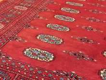 Load image into Gallery viewer, Hand knotted wool Rug 4 size  239 x 172 cm Pakistan