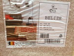 Wool Rug Belize 72412 120 170x240 cm